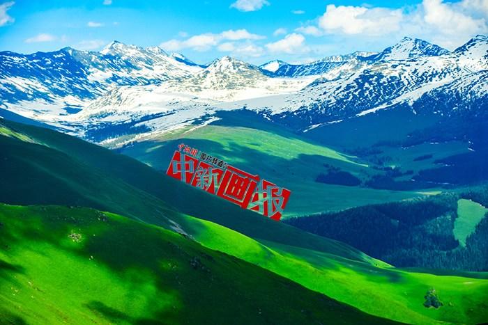 將夏天的“綠” 裝進(jìn)屏幕里，一組護(hù)眼壁紙請(qǐng)查收！