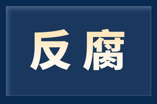 中國華云氣象科技集團(tuán)副總經(jīng)理杜建蘋接受審查調(diào)查